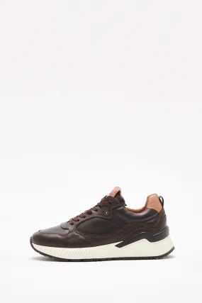 Sneakers Dark Brown